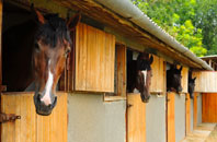 free Letham stable construction quotes